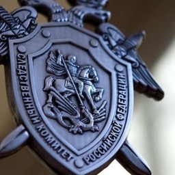 Отравление в Красноярске: задержана директор фирмы-поставщика