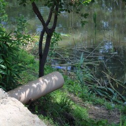 Инспекторы министерства природы области проверили реку Темерник