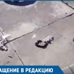 «Вот оно - истинное отношение властей к истории»: горожан возмутил мусор возле стелы освободителям Ростова