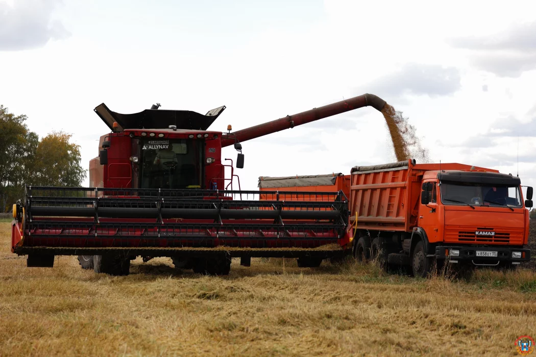 Почему на Дону ячмень стоит дороже пшеницы, а Россию ждет падение цены на рапс и сою