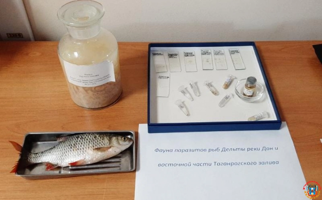 Ростовской области угрожают опасные черви-паразиты из-за роста солёности Азовского моря