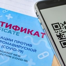С 17 января в Крыму возобновят проверки QR-кодов