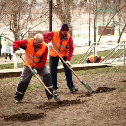В парках Ростова высадят 736 деревьев и кустарников 9 апреля