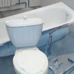 Таганрожец решил предложить Владимиру Путину искупаться в своей ванне