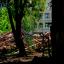 Так уходит детство: строители по кирпичику разобрали здание ростовского лицея №20 0