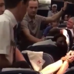 Напившегося в туалете виски ростовского пассажира пришлось связать в самолете
