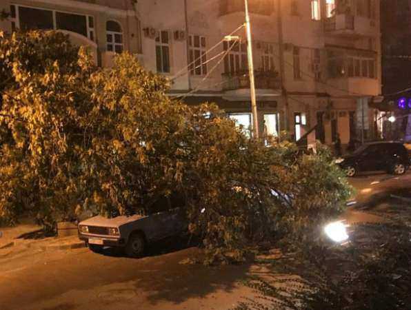Рухнувшее на дорогу дерево оборвало провода и придавило легковушку в центре Ростова на видео