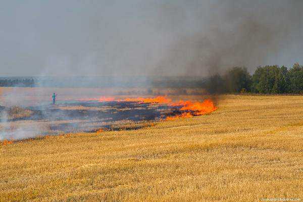 В некоторых районах Ростовской области сохраняется чрезвычайная пожароопасность