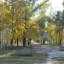 В обновленном парке Новочеркасска появится свадебный маршрут