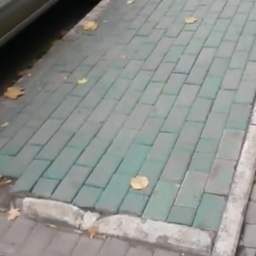 Газон из покрашенной в зеленую краску плитки и "рекламное" дерево в центре Ростова довели до бешенства горожан