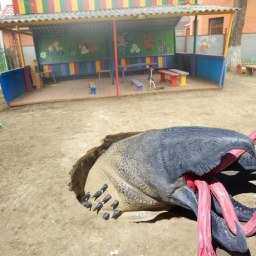 Ростовчане сотворили кучу смешных мемов на тему ямы в детском саду Таганрога