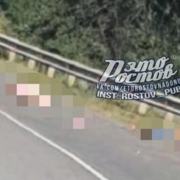 В ДТП в Ростовской области мотоциклиста разорвало на части
