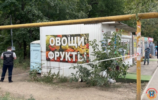 Ростовчанка бросила новорожденного малыша умирать в общественном туалете