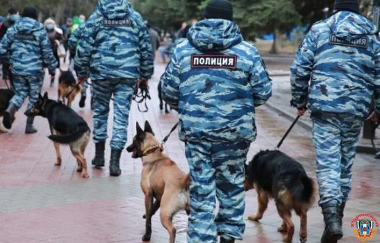 В Семикаракорске обнаружили человеческие останки