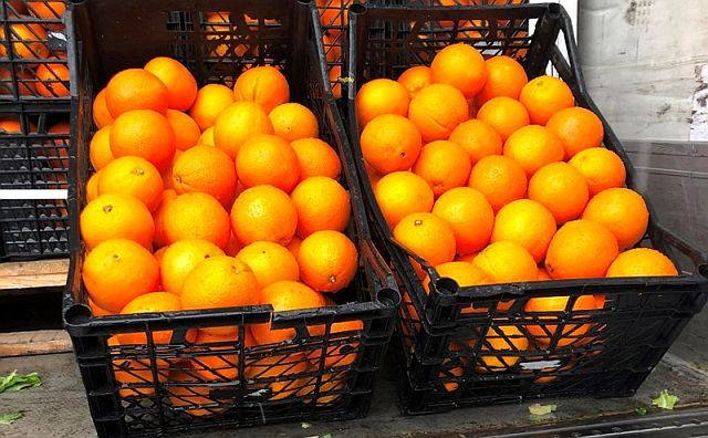 В Ростовской области уничтожили более четырёх тонн апельсинов