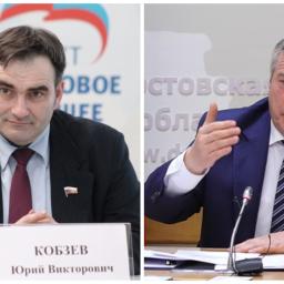 Новый министр здравоохранения Ростовской области получил нагоняй от губернатора