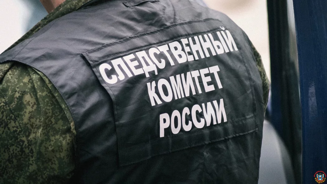 Донских следователей заинтересовал видеоролик об избиении подростка