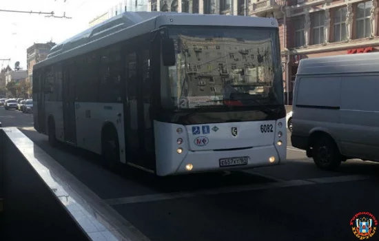 Какие документы нужно возить с собой ростовским льготникам?