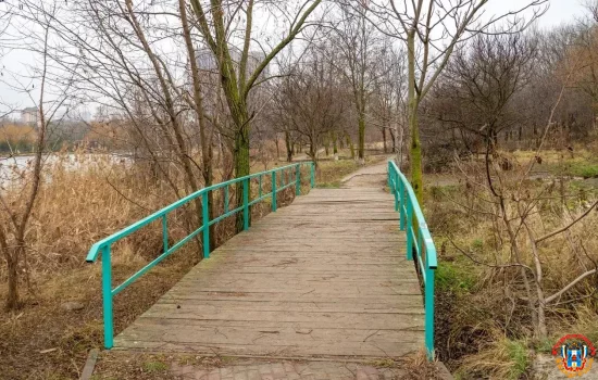 Сколько деревьев вырубят в ростовском парке «Дружба»?