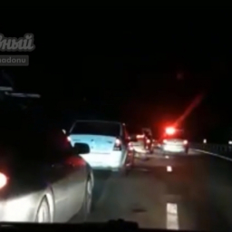 Под Ростовом водитель сбил на трассе стаю кабанов