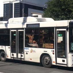 В Ростове предложили изменить схему маршрута автобуса № 81