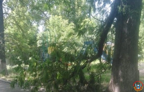 В Ростове на детской площадке упала ветка