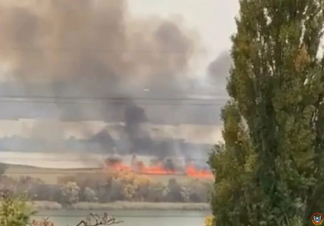 Ландшафтный пожар разгорелся на левом берегу Дона