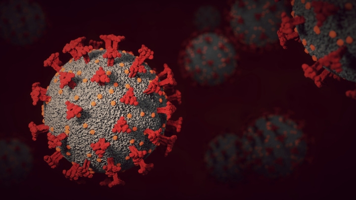 SARS-CoV-2 пробуждает ретровирусы в клетках крови