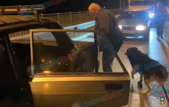 Привязал к бамперу и тащили по дороге собаку