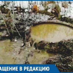 Река из канализационного люка мучает вонью жителей Шахт