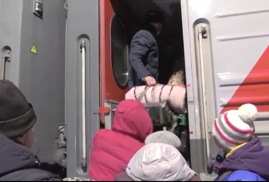 Почти 500 жителей Донбасса перевезут из Ростовской области в Ярославль