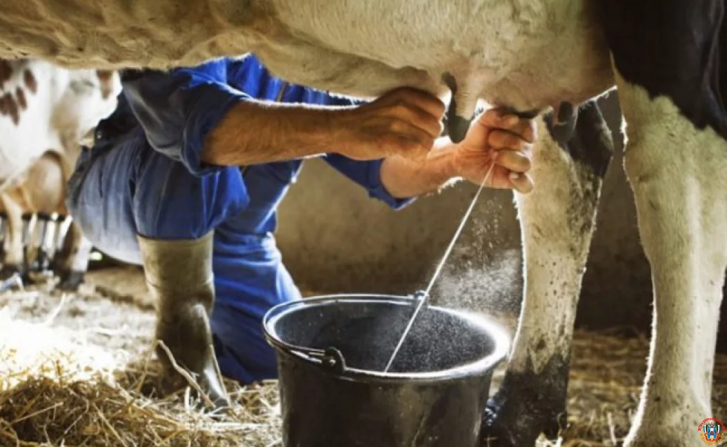 Донские ветинспекторы задержали "Газель" с опасным молоком