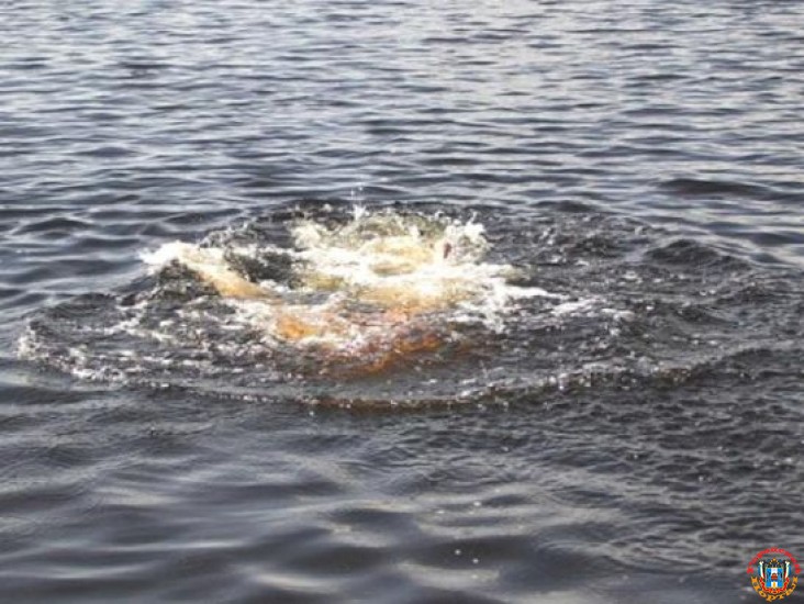Под Волгодонском 15-летний подросток утонул в реке Дон