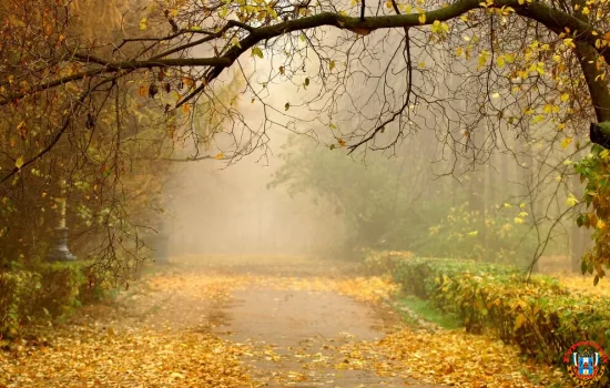 Прогноз погоды на 7 декабря 2025 года в Ростовской области