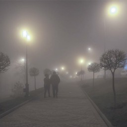 Сильный туман и ветер ожидаются в Ростове 23 ноября