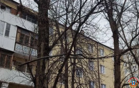 Над головами пешеходов повисли сломанные ветки в центре Ростова