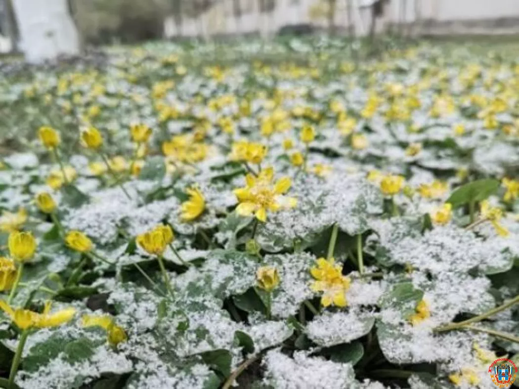 Жителей Ростовской области предупредили о заморозках 7 октября
