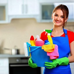 Средства для уборки квартиры и придомовой территории