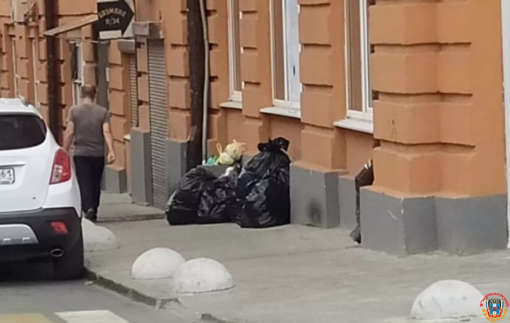 «Урну убрали, но проблему это не решит»: ростовчанка возмущена мусором в Соборном переулке