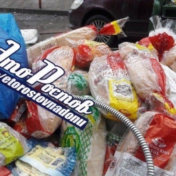 Кощунство или ересь: ростовчане поспорили о выброшенном в мусор хлебе