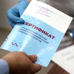 Ростовских полицейских заподозрили в покупке сертификатов о вакцинации
