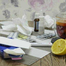 В Ростовской области за неделю 24 тысячи человек заболели ОРВИ