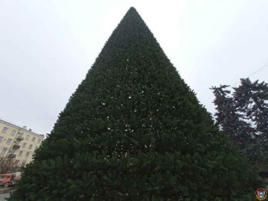 В Ростове-на-Дону появилась главная новогодняя елка