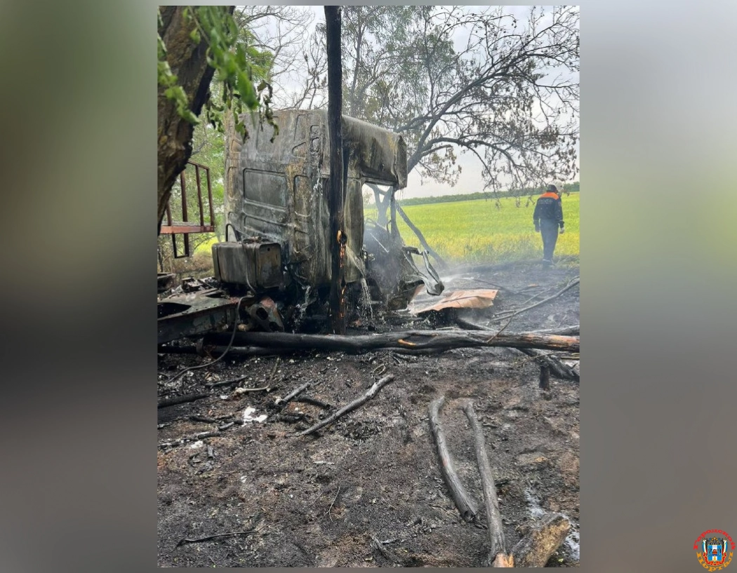В Ростовской области на трассе сгорел заживо 27-летний водитель грузовика