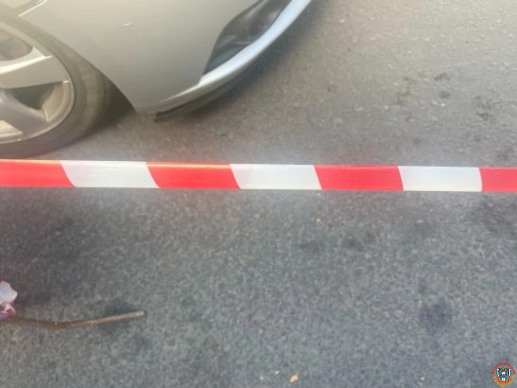 Под Ростовом водитель иномарки и 8-летний пассажир пострадали в аварии