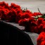 В Ростове в День памяти и скорби возложили цветы к мемориалу «Павшим воинам» 3