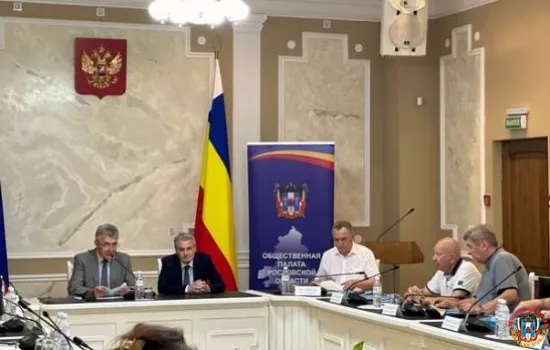 В Ростовской области подготовили более пяти тысяч наблюдателей на выборы в ЗС