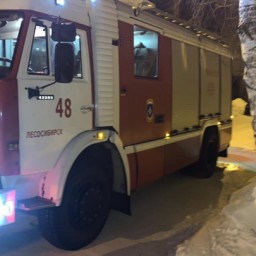 В Красноярском крае четыре ребенка погибли при пожаре