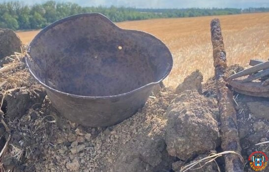 Поисковики нашли в Ростовской области останки двух неизвестных солда
