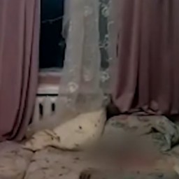 СКР показал видео с места убийства ребенка в Костроме